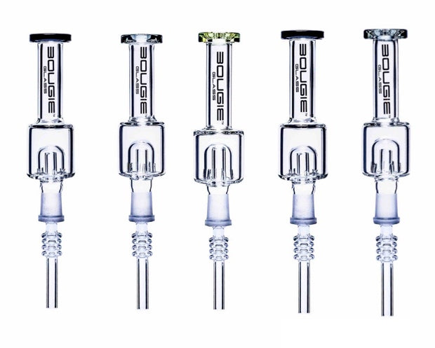 (12ct) BOUGIE 6" Mini Nectar Collector $14.5 EA