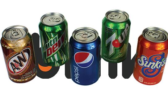 (12ct) Soda Stash Safe Can Assorted Brands $2.5 EA